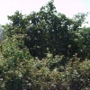 HPIM2316