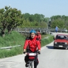 KIF_2433