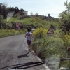 KIF_2463