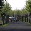 KIF_2478
